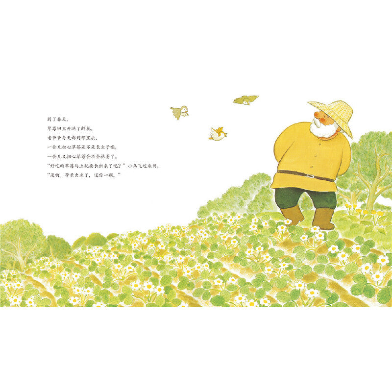 善平爷爷的草莓 (全新无塑封)