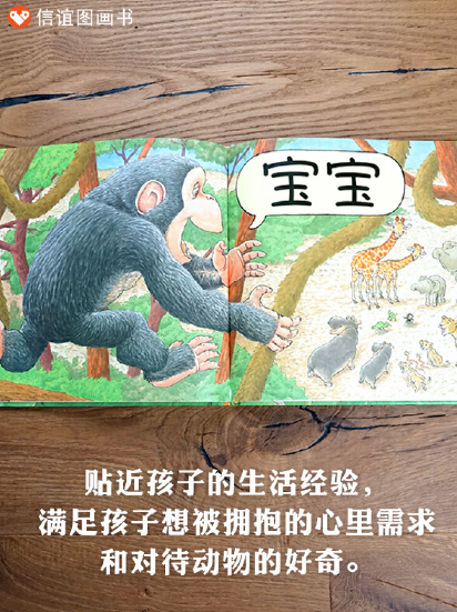 抱抱:0-2岁经典必入(全新无塑封)