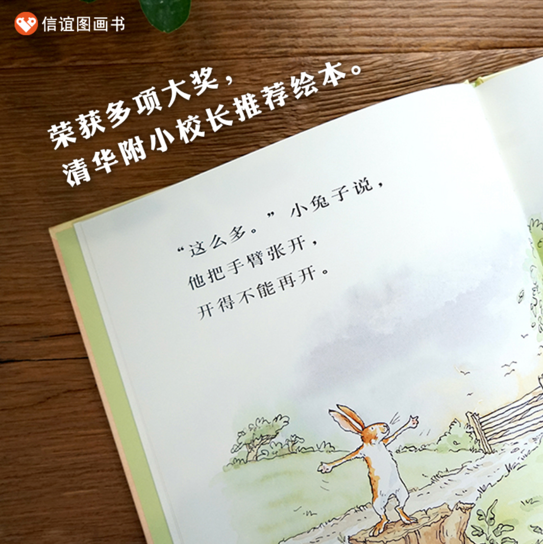 猜猜我有多爱你(全新无塑封)