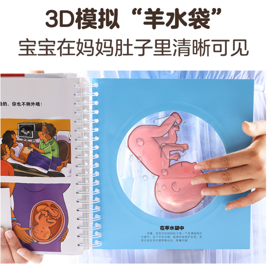 我们的身体 乐乐趣3D立体书 豆瓣评分9.5