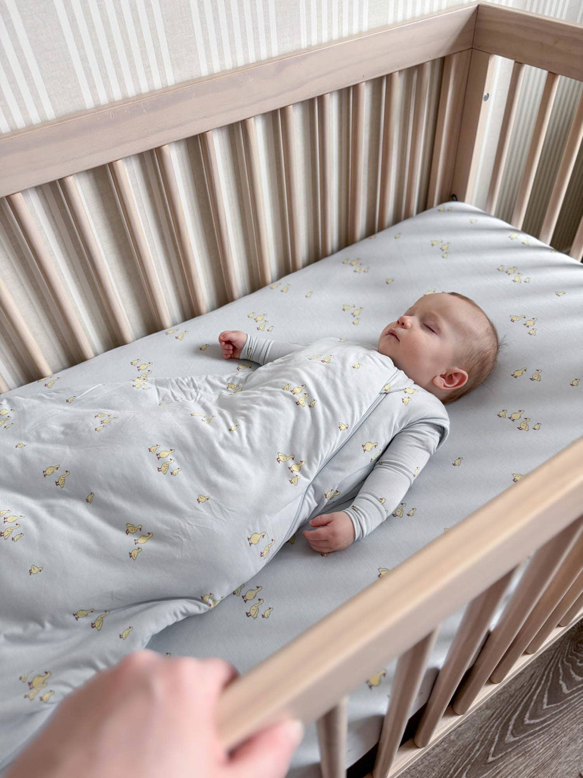 SLEEP BAG 1.0 TOG