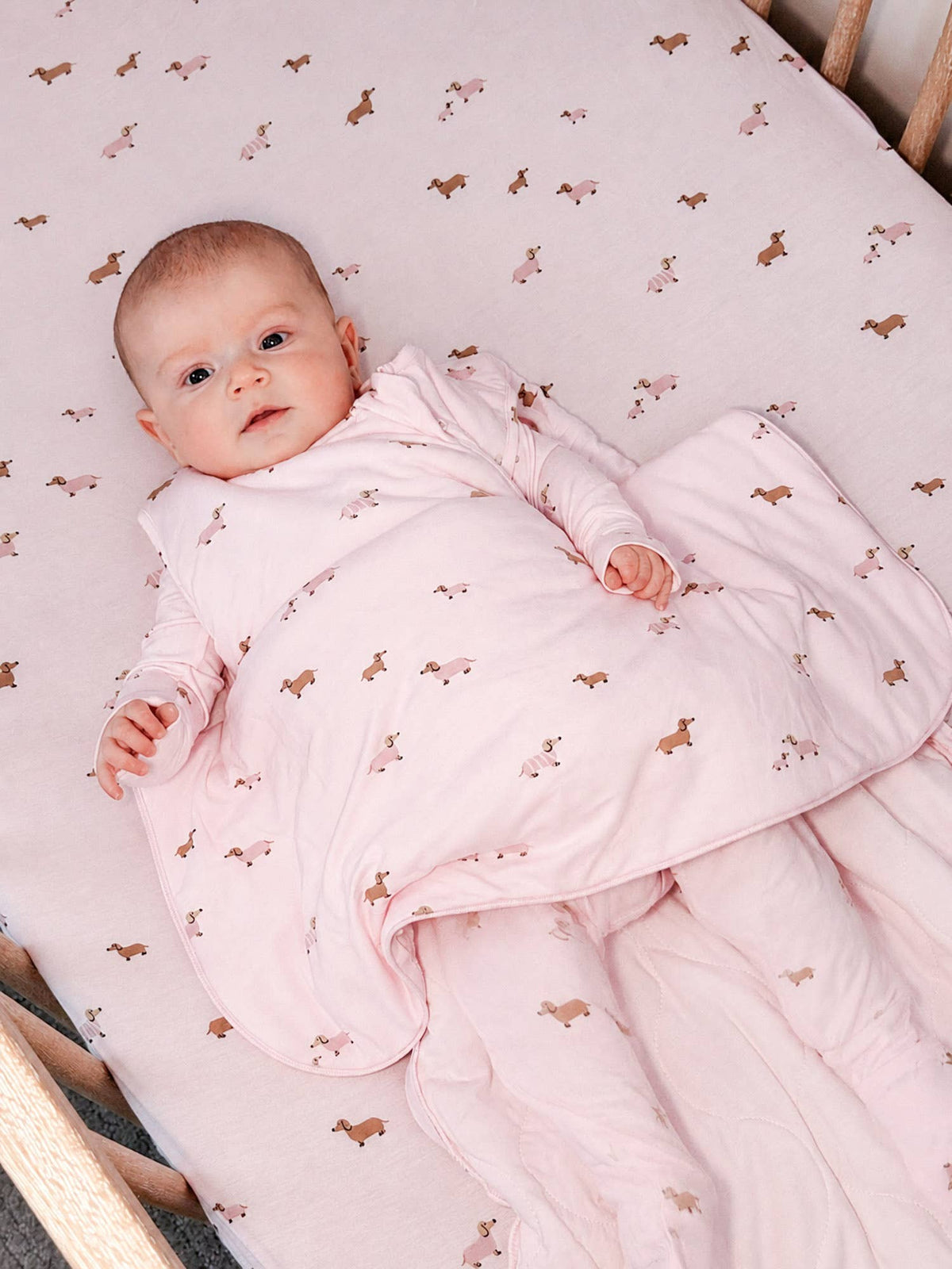 SLEEP BAG 1.0 TOG